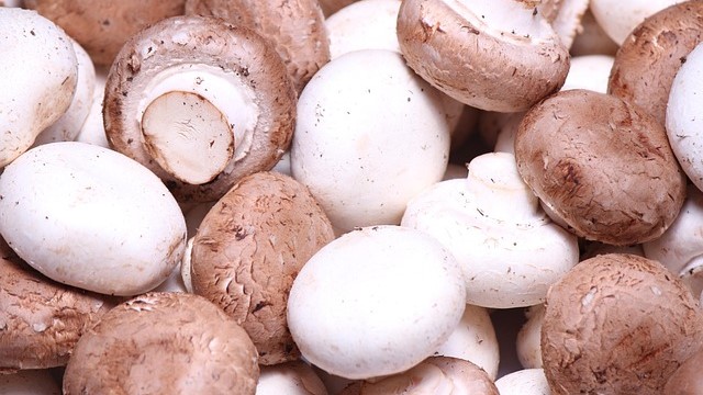 champiñones pixabay.jpg